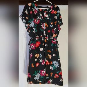 41 Hawthorn Dress XXL